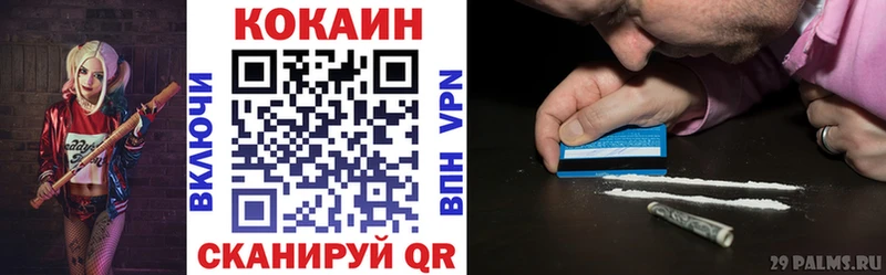 наркотики  Новозыбков  даркнет телеграм  Кокаин Эквадор 