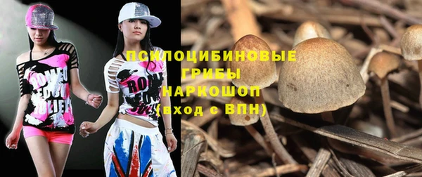 а пвп мука Аша