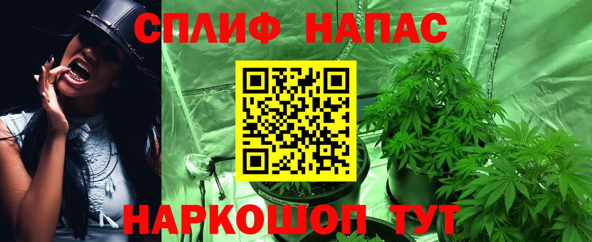 Новозыбков  Каннабис THC 21%  Вход с VPN  Шишки марихуана LSD WEED  МАРИХУАНА LSD WEED  Конопля Amnesia 